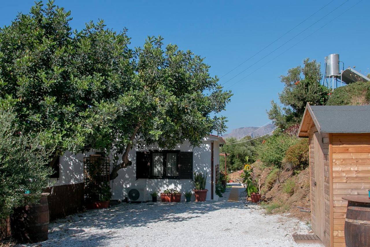 Summer Dream Cottage, 2Br, Beautiful Sea View موخلوس المظهر الخارجي الصورة